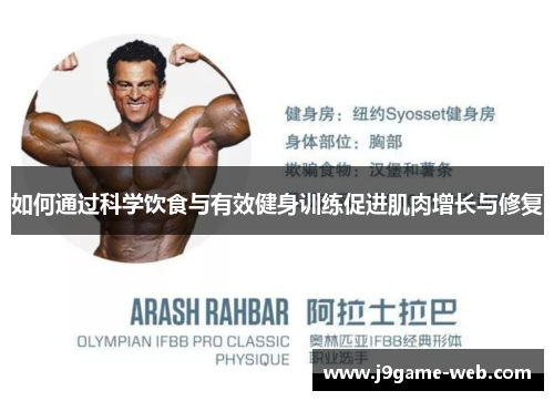 如何通过科学饮食与有效健身训练促进肌肉增长与修复