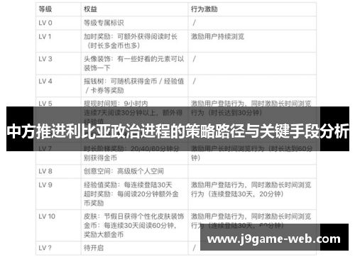 中方推进利比亚政治进程的策略路径与关键手段分析